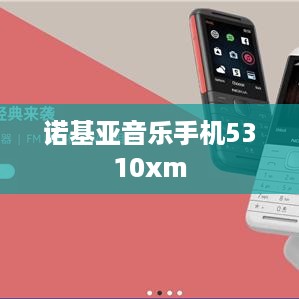 诺基亚音乐手机5310xm