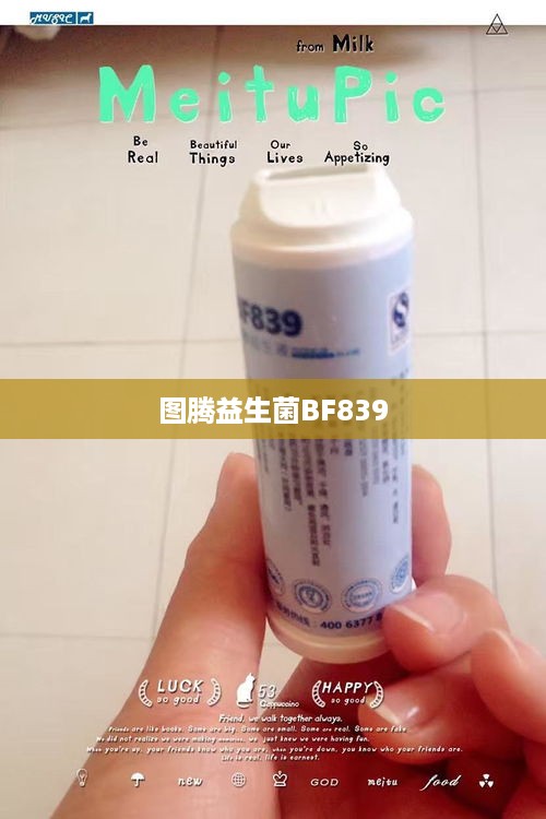 图腾益生菌BF839  第1张