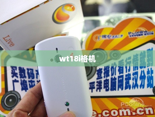 wt18i格机