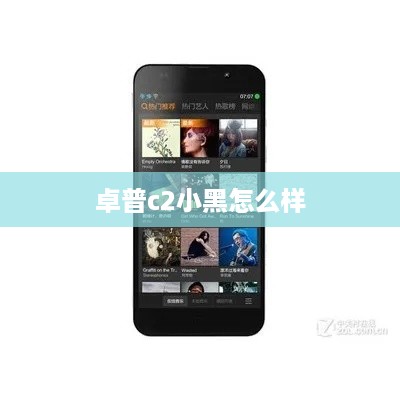卓普c2小黑怎么样