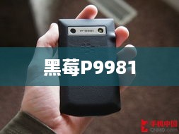 黑莓P9981