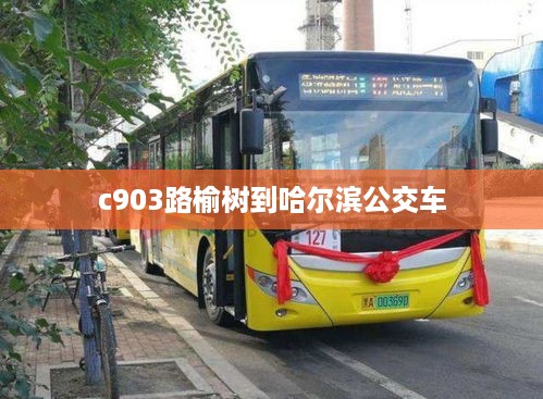 c903路榆树到哈尔滨公交车  第1张