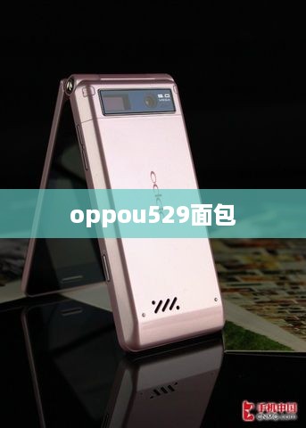 oppou529面包  第1张