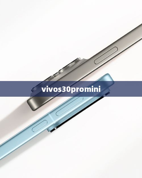 vivos30promini  第1张