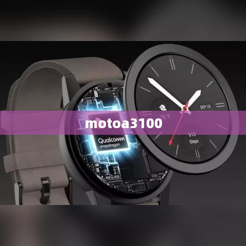 motoa3100
