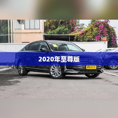 2020年至尊版  第1张