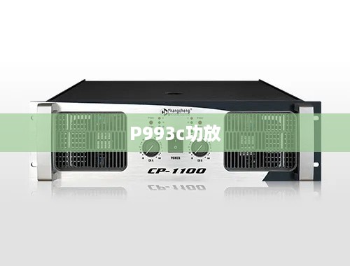 P993c功放  第1张