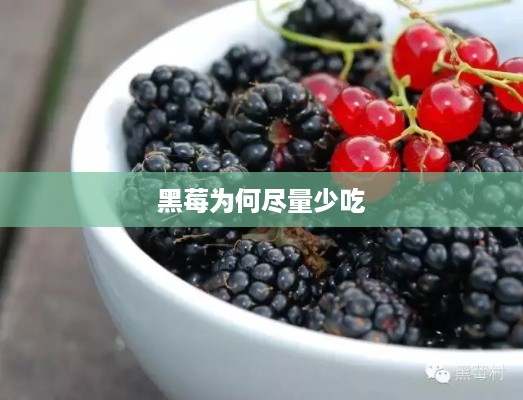 黑莓为何尽量少吃  第1张