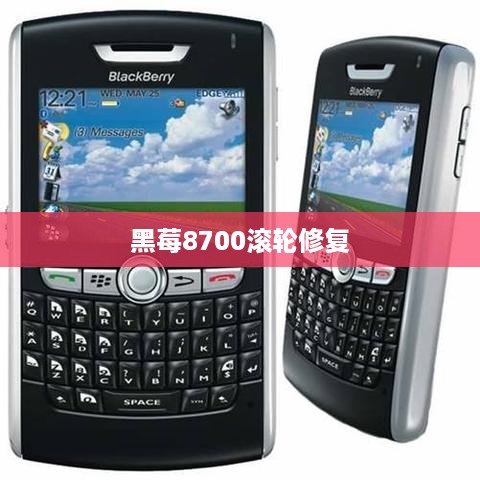 黑莓8700滚轮修复  第1张