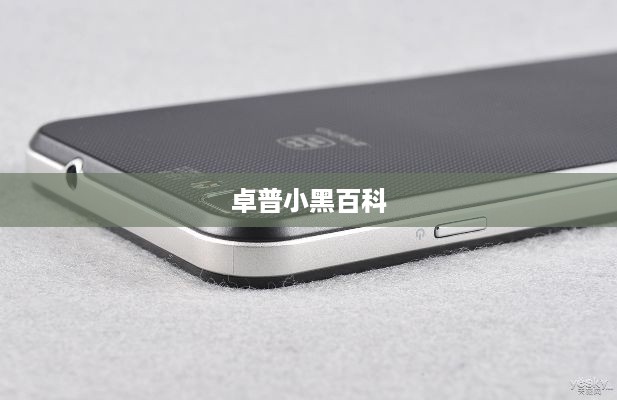 卓普小黑百科  第1张