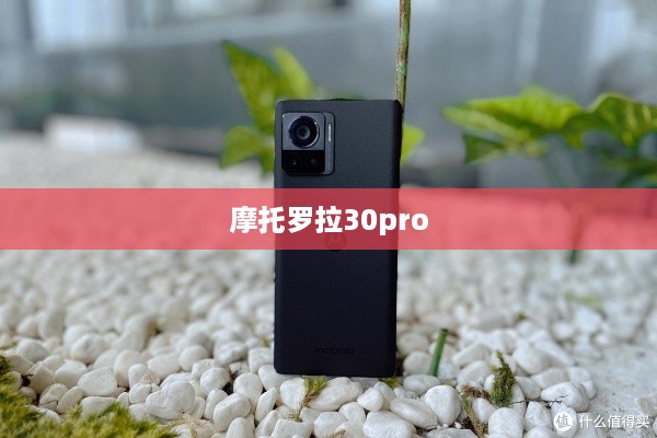 摩托罗拉30pro