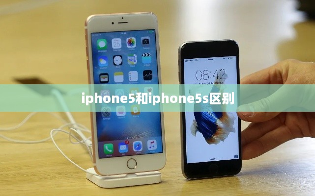 iphone5和iphone5s区别