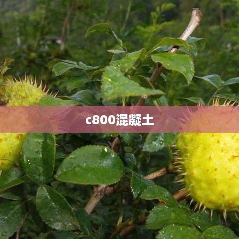 c800混凝土  第1张
