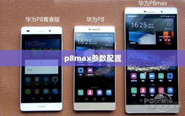 p8max参数配置
