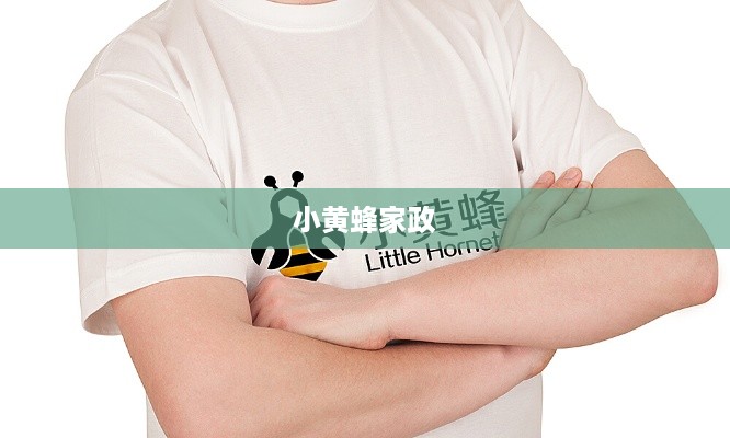小黄蜂家政