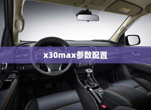 x30max参数配置