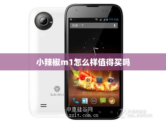 小辣椒m1怎么样值得买吗  第1张