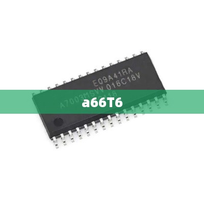 a66T6