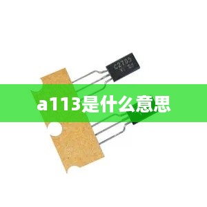 a113是什么意思  第1张