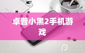 卓普小黑2手机游戏