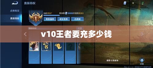v10王者要充多少钱