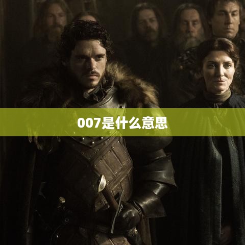 007是什么意思  第1张