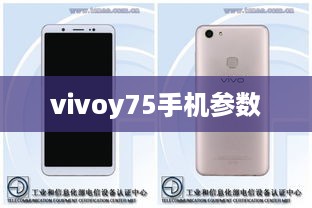 vivoy75手机参数