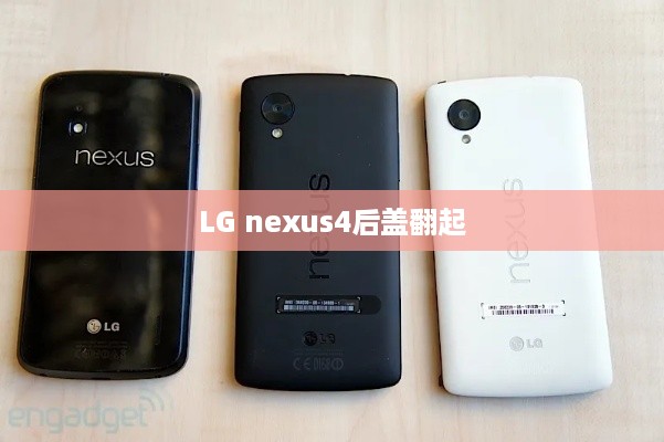 LG nexus4后盖翻起