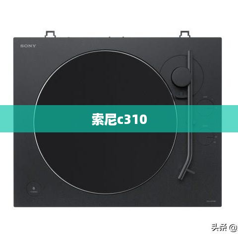 索尼c310