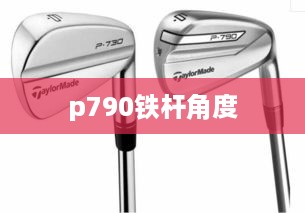 p790铁杆角度  第1张