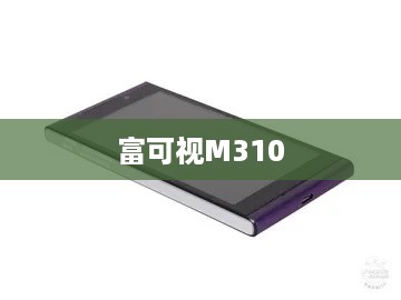富可视M310  第1张
