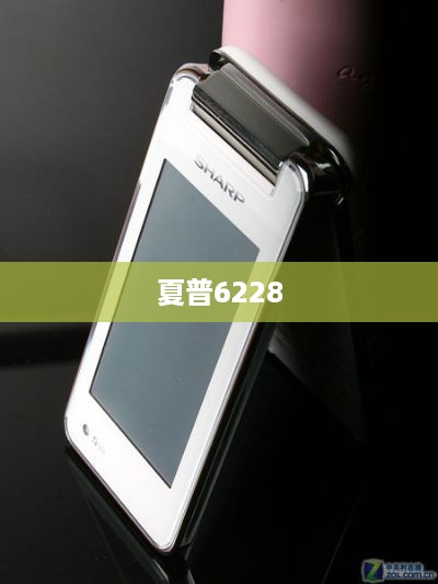夏普6228