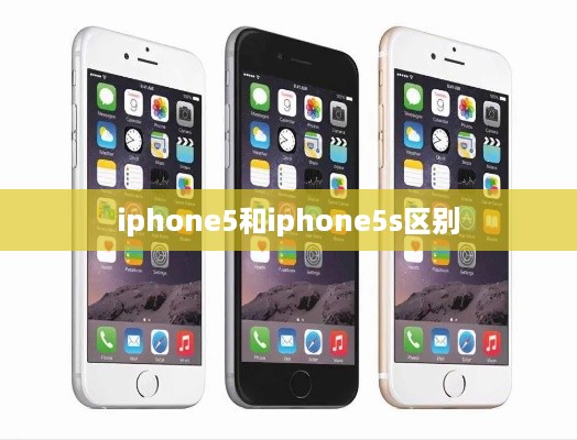 iphone5和iphone5s区别