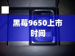 黑莓9650上市时间