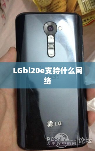 LGbl20e支持什么网络