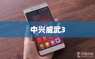 中兴威武3