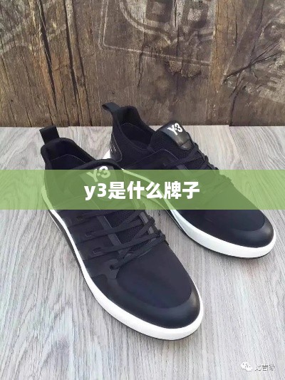 y3是什么牌子  第1张