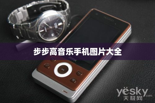 步步高音乐手机图片大全