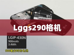 Lggs290格机