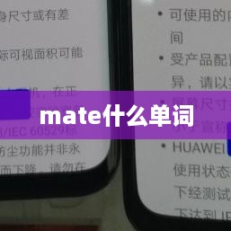mate什么单词