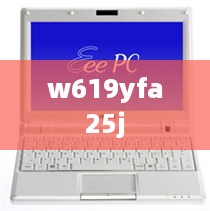 w619yfa25j