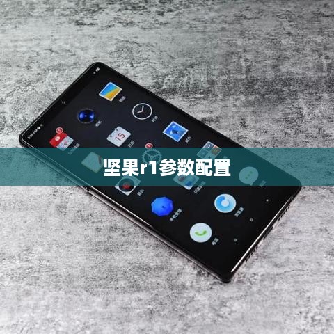 坚果r1参数配置