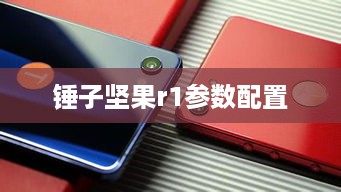 锤子坚果r1参数配置