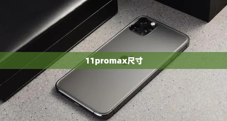 11promax尺寸