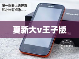 夏新大v王子版