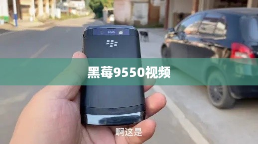 黑莓9550视频
