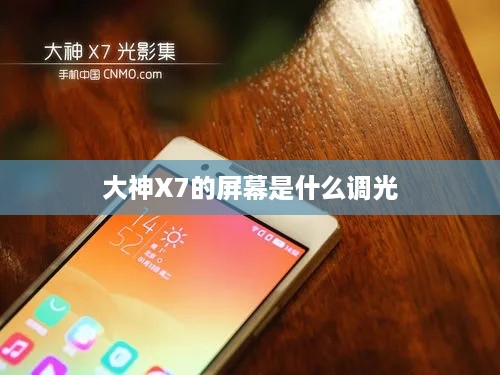 大神X7的屏幕是什么调光