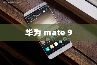华为 mate 9