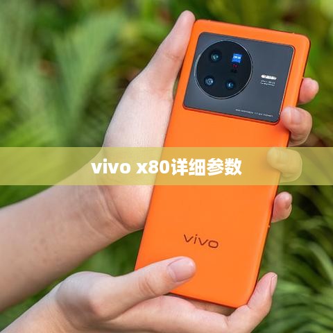vivo x80详细参数