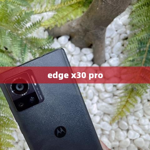 edge x30 pro